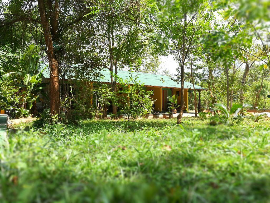 Sigiri La Veranda Lodge Sigirija Zewnętrze zdjęcie